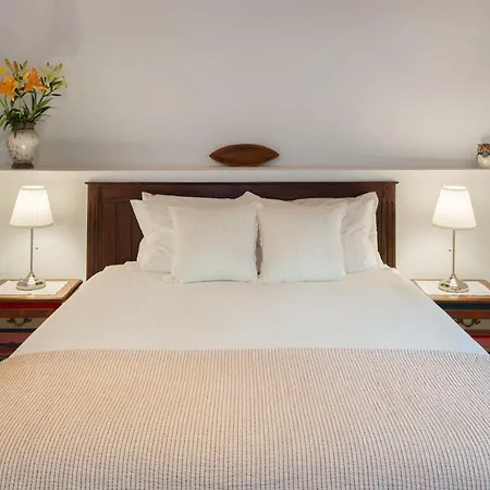 El Sitio De La Casa Arico el Nuevo