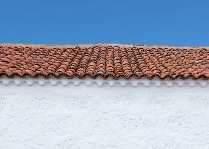 El Sitio De La Casa * Arico el Nuevo